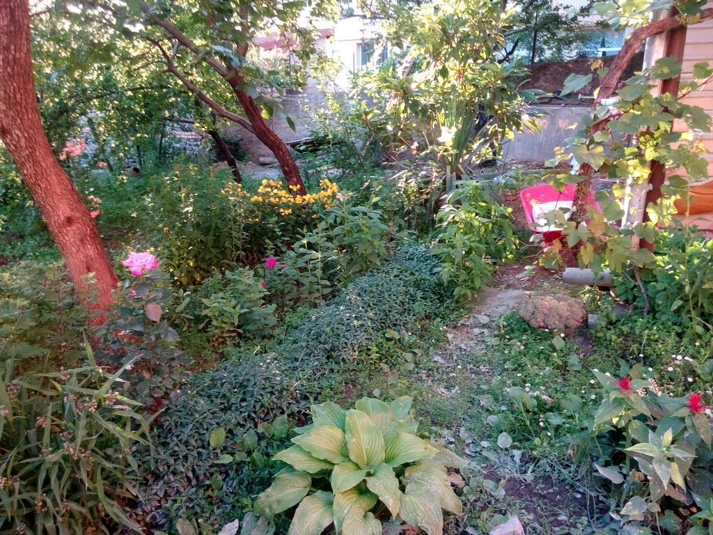 Guest House Chirina Sighnaghi Ngoại thất bức ảnh