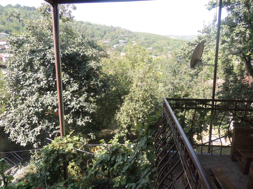 Guest House Chirina Sighnaghi Ngoại thất bức ảnh